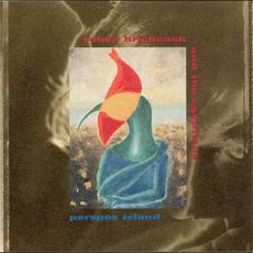 Perspex Island mp3 Album by Robyn Hitchcock And The Egyptians