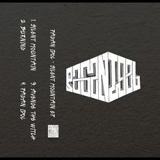 Silent Mountain mp3 Album by Pagan Idol