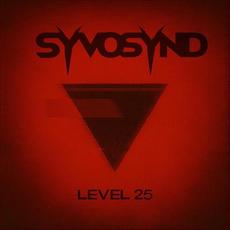 Level 25 mp3 Album by Syvosynd