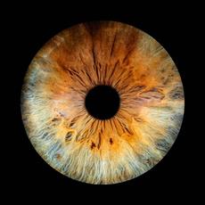 The Last of the Outdoor Kids mp3 Album by Andrew Weiss And Friends