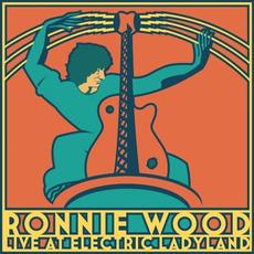 Live at Electric Ladyland mp3 Live by Ronnie Wood