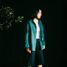 Slow It Down mp3 Album by Mini Trees