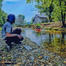 Unidentified Walking Objects mp3 Album by The Ballyhoo House Band