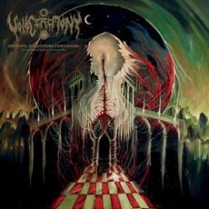 Entropic Reflections Continuum: Dimensional Unravel mp3 Album by VoidCeremony