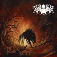 Tulesta Syntynyt mp3 Album by Valontuoja