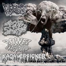 Pulmonary Fibrosis & Bowel Evacuation & Taste My Smegma & Kadaverficker mp3 Compilation by Various Artists