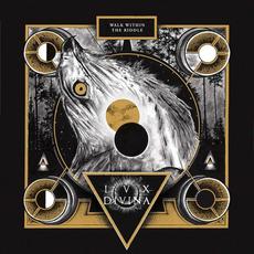 Walk Within the Riddle mp3 Album by Lux Divina