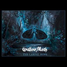 The Larval Hope mp3 Album by Sallow Moth