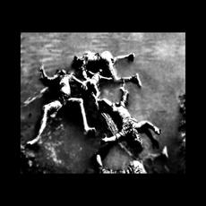 Cold In Flame mp3 Album by Stone Wired