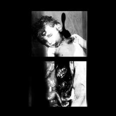 Bones Are For The Dead mp3 Album by Stone Wired