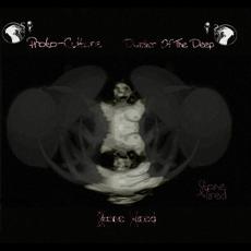 Proto-Culture mp3 Album by Stone Wired