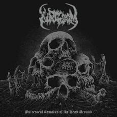 Putrescent Remains of the Dead Ground mp3 Album by Kingdom (POL)