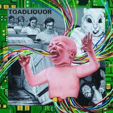 Back in the Hole mp3 Album by Toadliquor