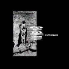 Putrid Flesh mp3 Single by Stone Wired
