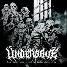 Now...Submit Your Flesh to the Master's Imagination mp3 Album by Undersave