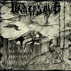 After the Domestication Comes the Manipulation mp3 Album by Undersave