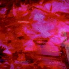 Untitled mp3 Album by Soul Blind