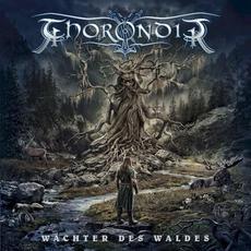 Wächter des Waldes mp3 Album by Thorondir
