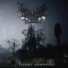 Animae Damnatae mp3 Album by Environmental Depressione