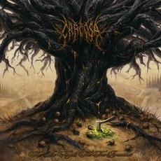 The Axe Forgets, The Tree Remembers mp3 Album by Carcosa