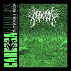 Nihilus mp3 Single by Carcosa