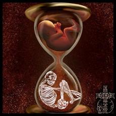 Fatal Disease Called Life mp3 Album by Eternal Enemy