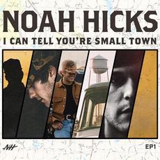 I Can Tell You're Small Town mp3 Album by Noah Hicks