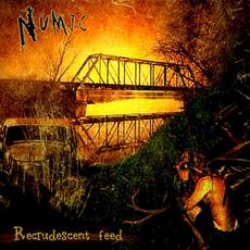 Recrudescent Feed mp3 Album by Numic