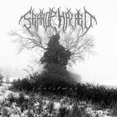 Christmas mp3 Album by Fearofhatred