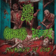 Triumvirate Of Gore mp3 Album by Paediatrician