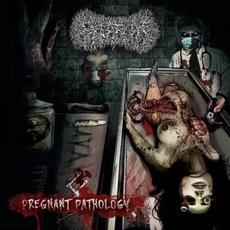 Pregnant Pathology mp3 Album by Paediatrician