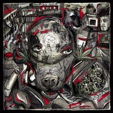 TagMond mp3 Album by Haze