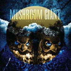 In a Forest mp3 Album by Mushroom Giant