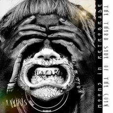 The Third Side Of The Coin (Animus) mp3 Album by Moons In Retrograde
