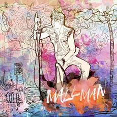 The End Is Not the End mp3 Album by Mark Mallman