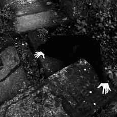 Perennial Morbid Rapture mp3 Album by Ceremonial Energy