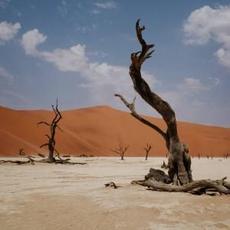 Growl mp3 Album by NYOS