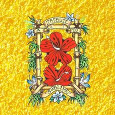 Look at All the Love We Found: A Tribute to Sublime (Remastered) mp3 Compilation by Various Artists