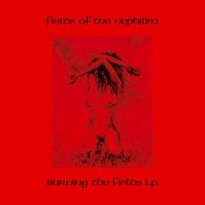 Burning the Fields (Remastered) mp3 Album by Fields Of The Nephilim