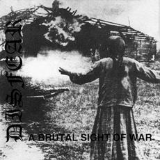 A Brutal Sight of War mp3 Album by Disfear