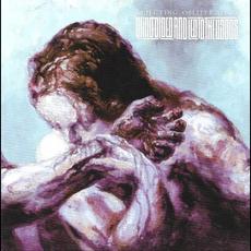 Rejecting Obliteration mp3 Album by Blindfolded and Led to the Woods