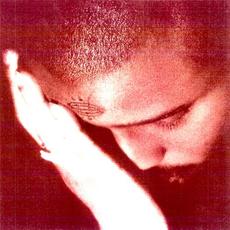 The Passionate Ones mp3 Album by Nourished by Time