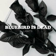 Lights (feat. Bluebird Is Dead) mp3 Single by Dynalectric Orchestra