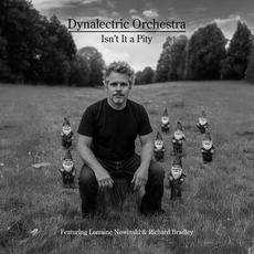 Isn't It a Pity (feat. Lorraine Nowinski & Richard Bradley) mp3 Single by Dynalectric Orchestra