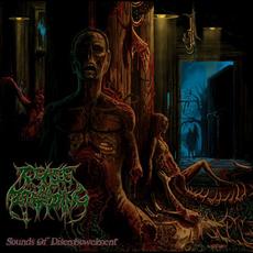 Sounds of Disembowelment mp3 Album by Cease of Breeding