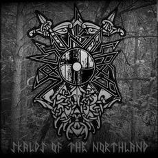 Skalds of the Northland mp3 Album by VolsungaSaga