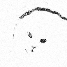 Song For Nuni mp3 Single by Left For Pleasure