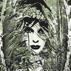 Lucky Me mp3 Album by Killing the Dream