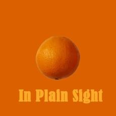 In Plain Sight mp3 Album by Connection Theory