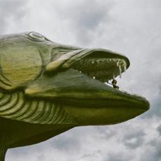 The Brightest Silver Fish mp3 Album by Léna Bartels